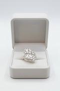 Ocean Erosion Ring