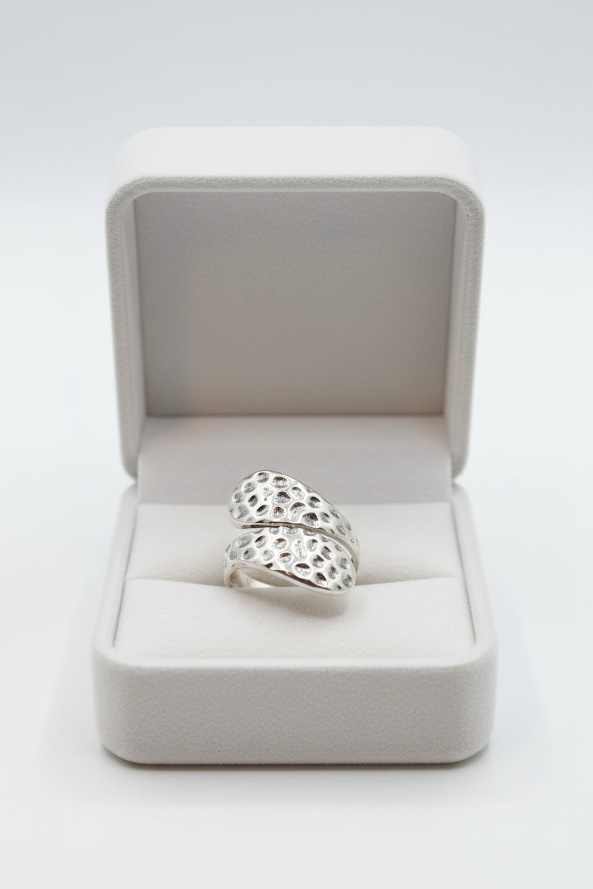 Ocean Erosion Ring