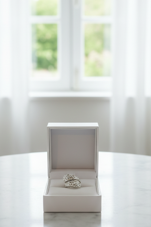 Ocean Erosion Ring
